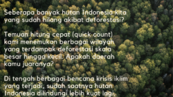 Real Count Deforestasi Di Indonesia
